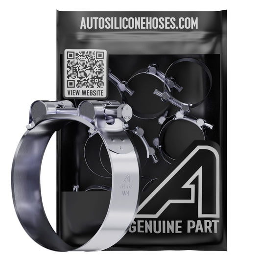 Assorted T-Bolt Hose Clamps Auto Silicone Hoses W1 Zinc Plated 2 Of Each - 46 Clips